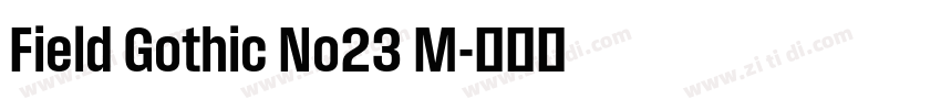 Field Gothic No23 M字体转换